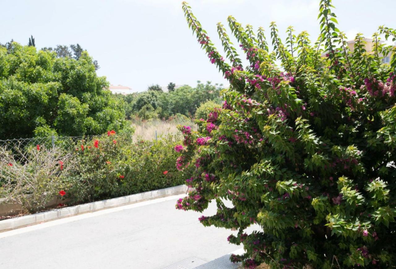 Ilios * Paphos